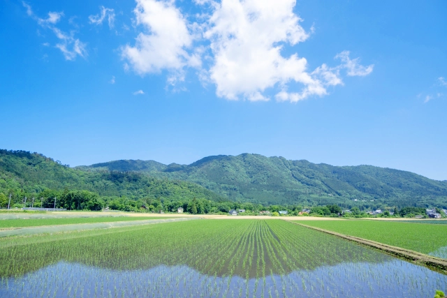 ちょっと田舎で、ちょうどいい暮らし